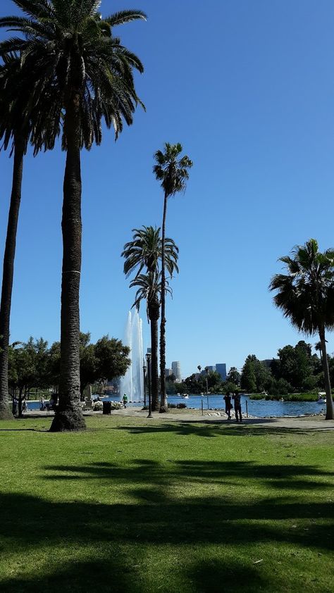 Elysian Park Los Angeles, Highland Park Los Angeles, Echo Park Los Angeles, Silver Lake Los Angeles, American Vibes, Los Angeles Wallpaper, Disneyland Ca, Los Angeles Parks, Lucky Boy