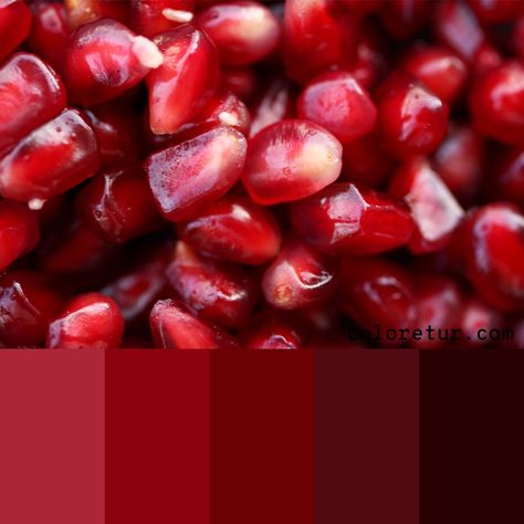 Pomegranate Seeds -   Pinks and reds from the pomegranate seeds create a beautiful monochrome palette  - Download the swatches now! Rgb Code, Scottish Cow, Monochrome Color Palette, Vintage Light Bulbs, Monochrome Palette, Red Colour Palette, Neon Painting, Red Pomegranate, בר מצווה