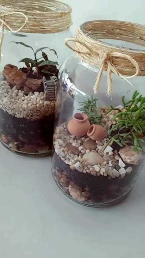 Diy Dollar Store Crafts Projects, نباتات منزلية, Fairy Garden Designs, Succulent Garden Diy, Diy Jar Crafts, Bottle Garden, Mason Jar Crafts Diy, Diy Dollar Store Crafts, Terraria