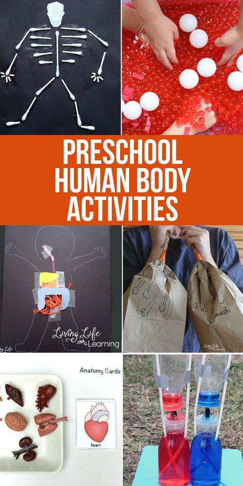 Need to learn about the human body? Try one of these Preschool human body activities that are guaranteed to get your child interested in learning about their own bodies.  #preschool #humanbody #science Human Body Unit Study, Body Preschool, Human Body Science, Human Body Activities, Preschool Science Activities, Human Body Unit, Preschool Units, Activities For Preschoolers, Kindergarten Science