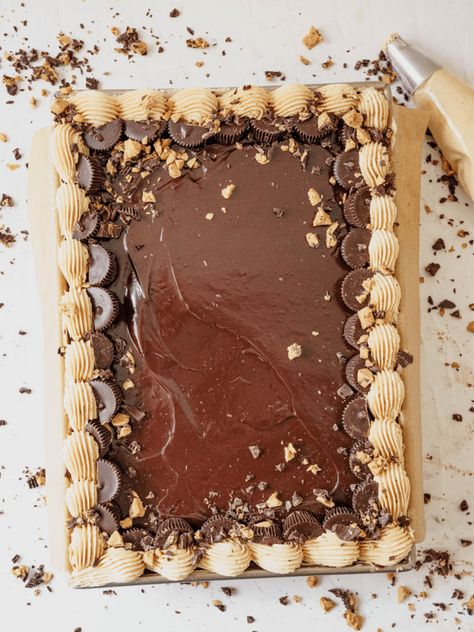 Chocolate Peanut Butter Sheet Cake Peanut Butter Sheet Cake Recipe, Moist Dark Chocolate Cake, Peanut Butter Sheet Cake, Sheet Cake Recipe, Chocolate Peanut Butter Brownies, Dark Chocolate Cake, Single Layer Cakes, Chocolate Peanut Butter Cake, Dark Chocolate Ganache