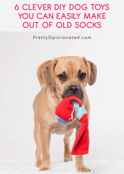 A couple pairs of old socks are basically all you need to DIY some bright, fun playthings for Fido. Check out 6 easy tutorials for homemade dog toys from socks! Diy Sock Toys, Homemade Dog Toys, Dogs Diy Projects, Diy Dog Toys, Animal Behaviorist, Diy Dog Bed, Dog Enrichment, Dog Ramp, Diy Socks