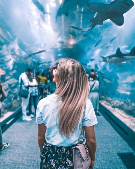 Zoo Photoshoot Ideas, Zoo Photo Ideas, Dubai Aesthetic Girl, Dubai New Year, Dubai Picture Ideas, Dubai Instagram Pictures, Vacay Pictures, Places In Dubai, Dubai Photoshoot