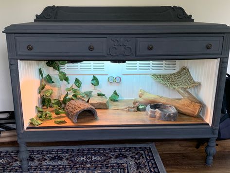 Furniture Reptile Enclosure, Reptile Enclosure In Bedroom, Reptile Terrarium Furniture, Dresser Reptile Enclosure, Diy Bearded Dragon Enclosure Tv Stand, Python Enclosure, Diy Bearded Dragon Enclosure, Dragon Enclosure, Lizard Cage