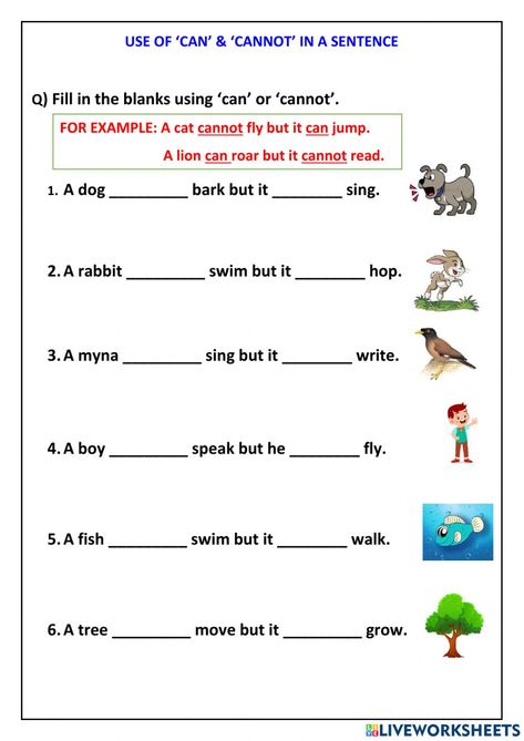 Use of can and cannot worksheet Can And Cannot Worksheet, Can Cannot Worksheet, Can And Can't Worksheet, Active And Passive Voice, Basic English, English Lessons For Kids, Year 3, Can Can, Year 2