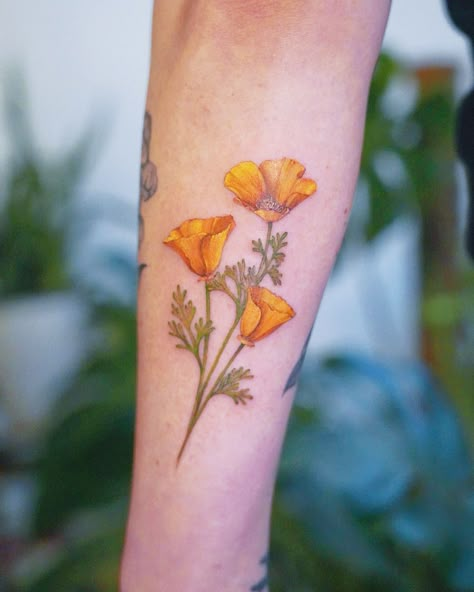 California Poppy Tattoo Color, Mexican Poppy Tattoo, California Wildflowers Tattoo, Ca Poppy Tattoo, Poppy Flower Tattoo Design, California Poppy Tattoo, Mexico Tattoo, Roots Tattoo, Poppy Flower Tattoo