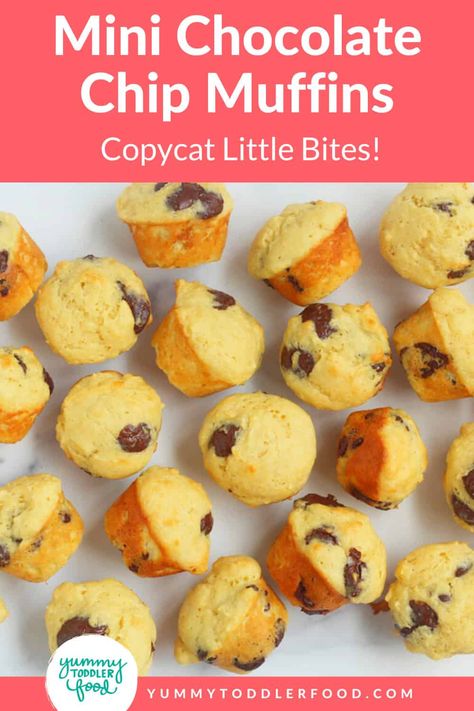 Chocolate Chip Mini Muffins (Little Bites Copycat) Copycat Little Bites, Chocolate Chip Muffins Healthy, Chocolate Chip Mini Muffins, Mini Muffin Recipe, Mini Chocolate Chip Muffins, Kid Food, Healthy Muffins, Chocolate Chip Muffins, Homemade Snacks