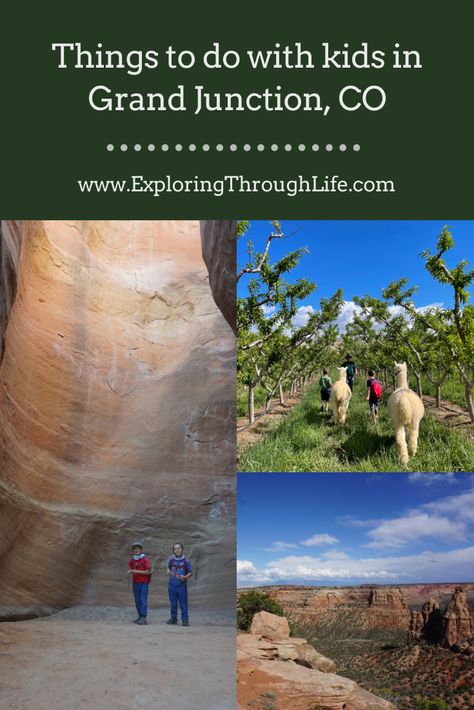 Things To Do In Grand Junction Colorado, Grand Junction Colorado Things To Do, Colorado Places To Visit, Colorado Attractions, Grand Junction Colorado, Colorado National Monument, Visit Colorado, Grand Junction, Colorado Vacation