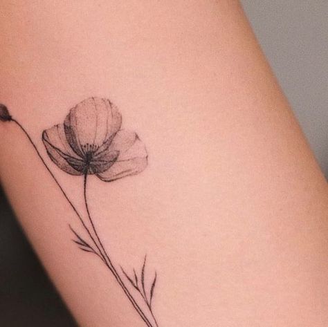 Single Poppy Tattoo, Poppy Tattoo Ribs, Single Needle Poppy Tattoo, Poppy Side Tattoo, Fine Line Poppy Tattoo Arm, Dainty Poppy Tattoo, Fine Line Poppy, Fine Line Poppy Tattoo, Black Poppy Tattoo