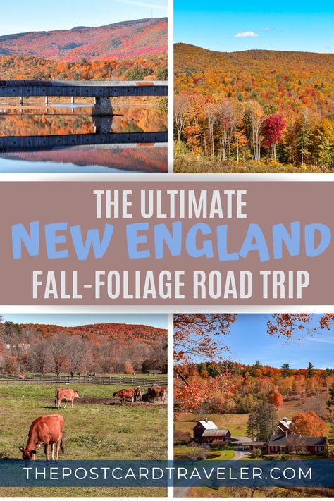 Fall New England, Fall Foliage Trips, England Road Trip, Fall Foliage Road Trips, England Travel Guide, Road Trip Ideas, Itinerary Ideas, New England Road Trip, Fall Road Trip