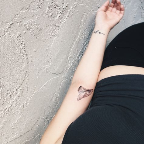 Realistic shark tooth tattoo Shark Tooth Tattoos For Women, Hammerhead Shark Tooth Tattoo, Shark Teeth Spine Tattoo, Realistic Shark Tooth Tattoo, Sharks Teeth Tattoo, Shark Tooth Tattoo, Tooth Tattoo, Shark Teeth, Triangle Tattoo