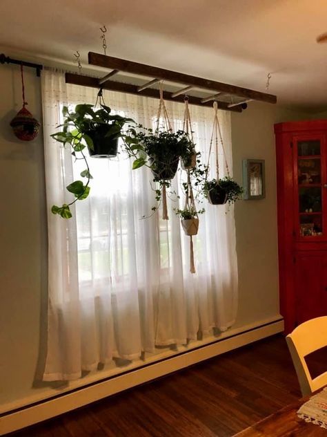 Ladder Hanging Plants, Hanging Ladder From Ceiling, Wooden Ladders Ideas Decor, Old Wooden Ladder Ideas, Ladder Plant Hanger, Plants From Ceiling, Wooden Ladder Ideas, Old Ladder Decor, Old Ladder Ideas