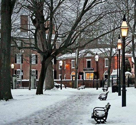 Salem Massachusetts Massachusetts Winter, Massachusetts Salem, Massachusetts Halloween, Massachusetts Fall, Massachusetts Photography, Massachusetts Aesthetic, Salem Mass, Client Profile, Park Benches