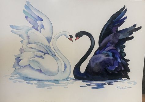 Black and white swans Black And White Swan Painting, Swan Heart Drawing, Black And White Swan Aesthetic, Black And White Swan Tattoo, Black Swan Drawing, Black Swan And White Swan, White And Black Swan, Black Swan Art, Swan Watercolor