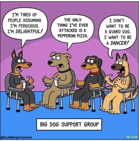 Best Dog Quotes, Dog Comics, Funny Cartoon Pictures, Dog Jokes, Dog Best Friend, Cat Comics, Funny Images Laughter, Funny Cartoon Quotes, Guard Dogs