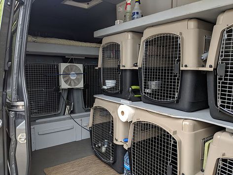 Dog Show Van Ideas, Pet Transport Van, Dog Transport Van, Dog Transport Van Ideas, Van Conversion Dog, Dog Wagon, Pets Hotel, Dog Van, Dog Sanctuary