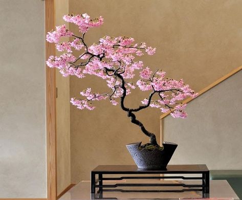 Brow Tattoo, Sakura Tree, Artificial Tree, Cherry Tree, Bonsai Tree, Beautiful Blooms, Japanese Art, Dream Life, Taiwan