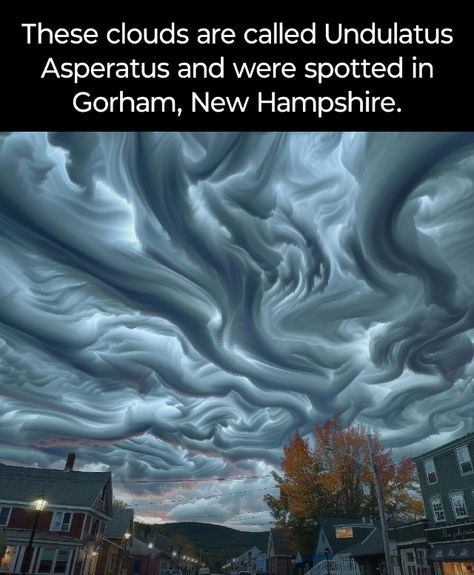 Undulatus Asperatus, Amazing Nature Photography, Natural Phenomena, Anaconda, History Facts, Fun Fact, Amazing Nature, Natural Wonders, Nature Pictures