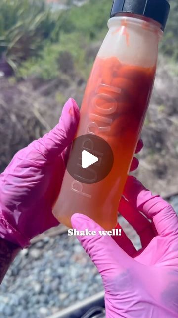 Pulp Riot Hair Color on Instagram: "📝 HOT TIP from #PulpRiotEducator @savvyheartshair (she/her) is the artist ☢️ #PulpRiot is the paint. 

🎨 Pretone + Semis shade used: Nuclear

Content description: An artist using a tint bottle with bright orange hair color and warm water in it, applying it to bleached hair color, then applying the same hair color and ending the video with bright orange hair. 

#PulpRiotIsThePaint #PulpRiot #PulpRiotHair #PulpRiotColor #BrightHair #HairArt #HairColor #HairSalon #BehindTheChair #SalonCentric #ItTakesAPro #HairStylist #FireHair #OrangeHair #HairInspo #HairTip #ProTip" Orange Copper Hair Color Formula, Neon Peach Hair, Orange Hair Bright, Pravana Copper, Pravana Orange Hair, Orange Yellow Pink Hair, Pulp Riot Hair Color, Hair Color Orange, Orange Copper