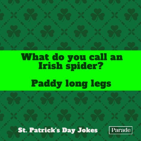 You'll be 'Dublin' over in laughter once you read these St. Paddy's Day jokes. St Patrick's Day Jokes, St Patricks Day Meme, Funny Irish Jokes, St Patricks Day Jokes, Irish Jokes, St Patricks Day Quotes, Math Quotes, Freaking Hilarious, Irish Funny