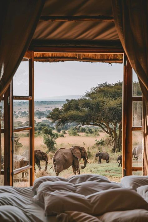 Travel Kenya, African Lodges, Safari Outfits, Kenya Safari, Tanzania Safari, Mountain Gorilla, Room With A View, Africa Destinations, The Pyramids