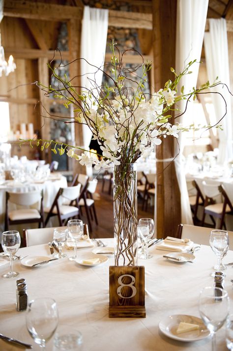 Orchid and Willow Branch Centerpieces Branch Wedding Centerpieces, Willow Branch Centerpiece, Centerpieces Orchids, Branches Centerpiece, Twig Centerpieces, Orchid Ideas, Branch Centerpieces Wedding, Unusual Wedding Venues, Branch Centerpieces