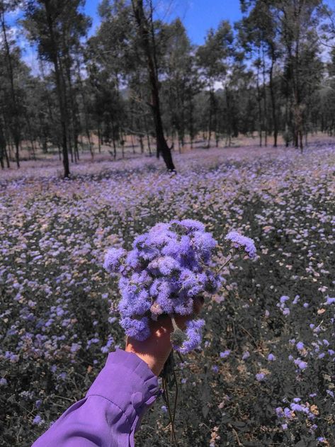 Dream Job Aesthetic Doctor, Cadbury Purple Wedding, Funny Minion Pictures, Broken Screen Wallpaper, Iphone Wallpaper Lights, Instagram Photo Frame, Purple Vibe, Lavender Aesthetic, Vintage Flowers Wallpaper