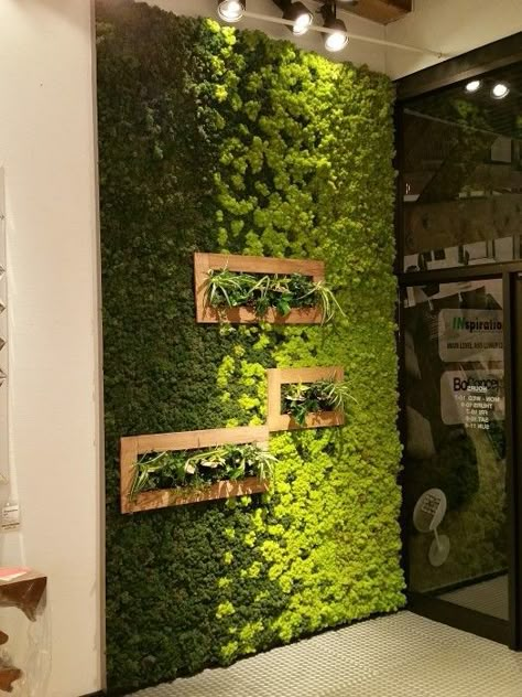 Moss is New Paint: How to Create Art with Moss  Would be interesting to look into - also might take down the load factor Mos Wand, Living Wall Indoor, Garden Wall Designs, Diy Wand, Green Wall Decor, Moss Wall Art, Moss Garden, Vertical Gardens, Walled Garden