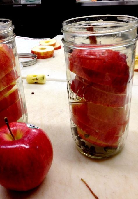 Stacked apple slices with spices in a jar Canned Apple Slices Recipes, Spiced Apple Rings, Apple Recipes For Canning, Squash Pickles, Fermenting Veggies, Fall Canning, Canned Squash, Pickled Apples, Pickled Peaches