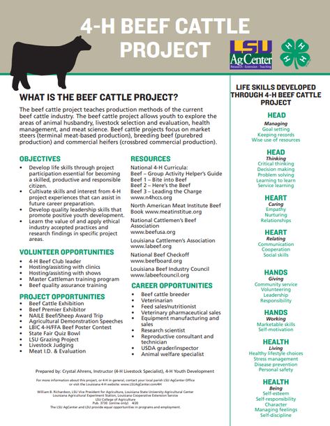 Boer Goats Raising, Goat 4h Projects, Showing Dairy Goats, Meat Goats Breeds, 4h Goat Project Ideas, Goat Showing Tips, 4-h Goat Project, 4 H Fair Projects, Showing Goats In 4h