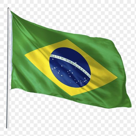 Brazilian Flag, Brazil Flag, National Symbols, Flag Png, Best Poses For Pictures, Poses For Pictures, Transparent Background, Brazil, Flag