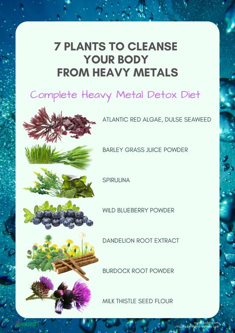 Blueberry Powder, Body Detox Cleanse, Heavy Metal Detox, Wild Blueberries, Cleanse Your Body, Natural Detox, Colon Cleanse, Body Cleanse, Milk Thistle