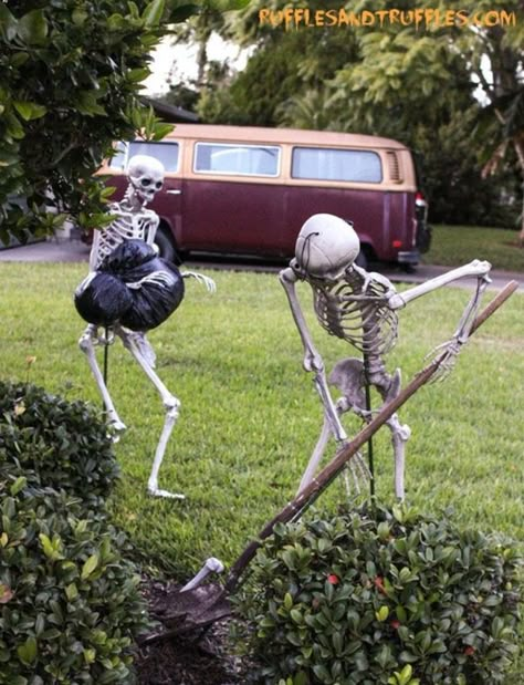 Skeleton Memes, Skeleton Poses, Skeleton Pics, Halloween Yard Displays, Skeleton Ideas, Silly Skeleton, A Silent Voice Anime, Halloween Skeleton Decorations, Halloween Outside