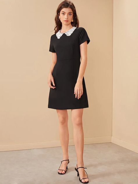 Contrast Peter Pan Collar A-line Dress | SHEIN Peter Pan Collar Dress Outfit, Porcelain Print Dress, Contrast Collar Dress, Pan Collar Dress, Peter Pan Collar Shirt, Peter Pan Collar Dress, Office Dresses For Women, Collared Shirt Dress, Black Short Dress