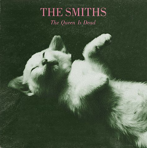 Poster Grafico, The Queen Is Dead, Music Poster Design, Silly Cats Pictures, The Smiths, Poster Retro, Band Posters, Radiohead, Silly Cats