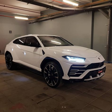 Another Day, Another Urus!! Fourth Lamborghini Delivered this week!! This one going to Pune's White Garage!! Kudos to @lamborghinimumbai… Lambo Truck, White Garage, White Cars, White Lamborghini, Dream Cars Mercedes, Luxury Car Brands, Lamborghini Urus, Top Luxury Cars, Lux Cars