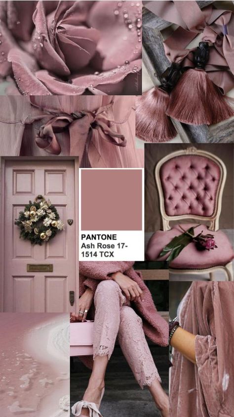 pantone ash rose colors spring 2018 inspiration fashion style detail moodboard collage palette Soft Summer Color Palette, Rose Colors, Inspiration Moodboard, Moodboard Collage, Soft Summer Colors, Color Schemes Colour Palettes, Color Trends Fashion, Summer Color Palette, Color Collage