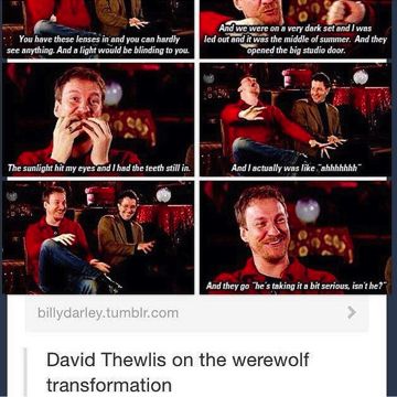 Transformation Remus Lupin Transformation, Remus Lupin Werewolf Transformation, Werewolf Harry Potter, Remus Lupin Werewolf, Werewolf Transformation, Remus And Tonks, David Thewlis, Glume Harry Potter, The Werewolf