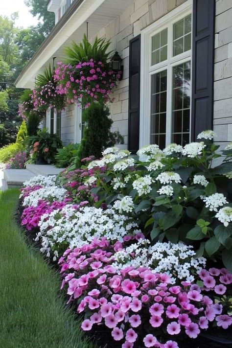 Simple Front Yard Flower Beds, Flower Bed Arrangements Front Yards, Flower Beds Along House, Landscape Design Around Trees, Boxwood Landscaping Front Yard, Flower Beds In Front Of House, Front Flower Bed Ideas, Floral Landscaping, Front Yard Ideas