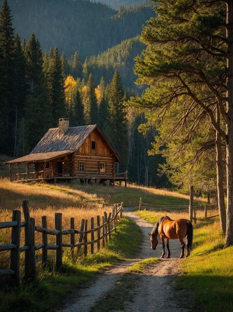 Old Cabins, Timber Cabin, Picasso Style, Log Cabin Homes, Beautiful Sights, Cabin Homes, Cabins In The Woods, Country Life, In The Woods