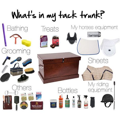 Horse Tack Box Ideas, Tack Storage, Tack Locker, Horse Hacks, Tack Trunk, Tack Box, First Horse, Horse Information, Horse Knowledge