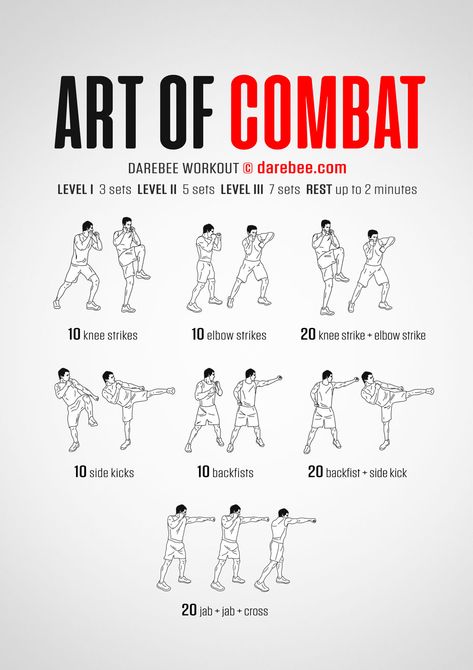 Combat Moves, Combat Workout, Dumbell Workout, Body Challenge, Aerobics Workout, Home Fitness, Cardiovascular System, Training Plan, Fitness Training