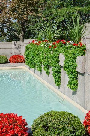 Garden pool with hanging plants Flowers Around Pool, Poolside Plants, Pool Planters, Plants Around Pool, Landscaping Around Pool, Pool Plants, Inground Pool Landscaping, Swimming Pool Landscaping, Pool Landscape