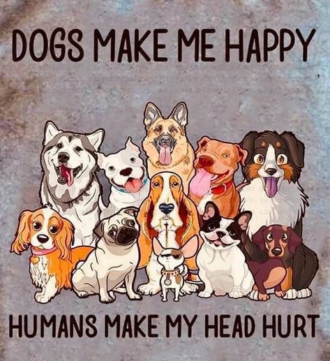 Dog Quotes Love, Funny Phone, Crazy Dog Lady, Puppy Photos, Dog Rules, Crazy Dog, Amazing Animals, Disney Films, Rescue Dogs