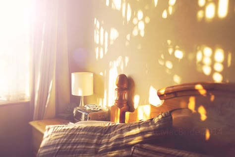 COISA BOA Morning Light Bedroom, Warm Light Aesthetic, Soft Light Aesthetic, Morning Sunlight, Colour Theme, Sun Light, Through The Window, Luz Natural, Morning Light