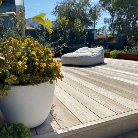 Millboard Australia on Instagram: “Millboard Limed Oak low maintenance decking. Every board with its own tones creating a relaxing atmosphere. Made in UK🇬🇧 Available…” Millboard Decking Limed Oak, Millboard Decking, Pool Decking, Limed Oak, Relaxing Atmosphere, Composite Decking, Pool Decks, Pool Design, Backyard Design