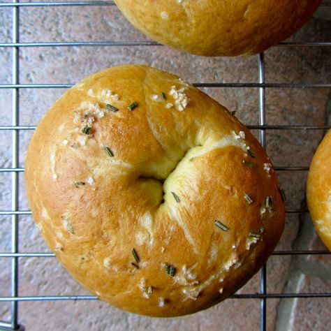 Rosemary and Olive Oil Bagels (AKA Focaccia Bagels) Rosemary Olive Oil Bagels, Rosemary Bagel Recipe, Bagel Ideas, Bagel Recipe Easy, Rosemary Olive Oil, Sourdough Bagels, Homemade Bagels, Bagel Recipe, Vegan Bread