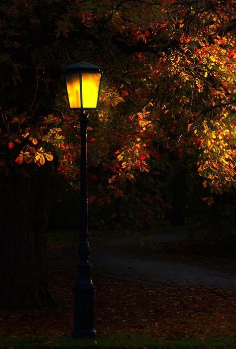 Paradis Sombre, October Country, Fairytale Photography, Autumn Magic, Autumn Night, Night Vibes, Street Lamp, Beautiful Landscape Wallpaper, Aesthetic Photography Nature