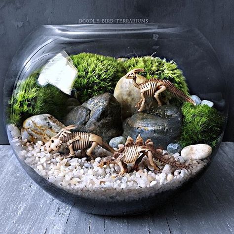 My latest custom order - Mini dinosaur bones displayed in a bowl terrarium planted to resemble a prehistoric landscape scene. #fossils #terrarium #prehistoric #dinosaurbones #dinosaur #moss #paleontology Uni Decor, Prehistoric Landscape, Bowl Terrarium, Plant Workshop, Goth House, Mini Landscape, Dinosaur Birthday Party Decorations, Indoor Water Garden, Dinosaur Room