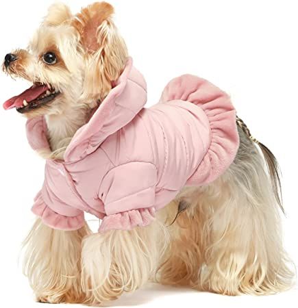 Amazon.com : Fitwarm Ruffle Dog Coat, Puffer Jacket, Dog Winter Clothes for Small Dogs Girl, Pet Cat Hooded Outfit, Pink, Medium : Pet Supplies Teach Dog Tricks, Girl Dog Clothes, Standard Dachshund, Teacup Breeds, Puffer Jacket With Hood, Cute Dog Clothes, Dog Winter, Dog Winter Clothes, Dog Winter Coat